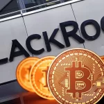 BlackRock Bitcoin ETF Sees First Outflow in Weeks